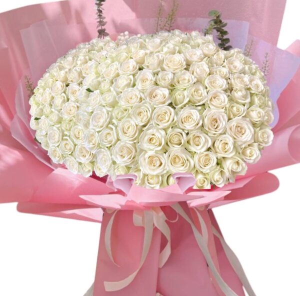 101 white roses decorated with pink paper
